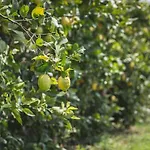 Dimora Bolsone Alloggio per agriturismo Gardone Riviera