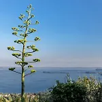 Dimora Bolsone *