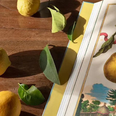 Dimora Bolsone Farm stay Gardone Riviera