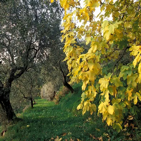 Farm stay Dimora Bolsone