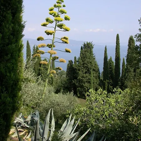 Farm stay Dimora Bolsone *