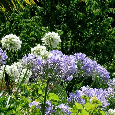 Dimora Bolsone Alloggio per agriturismo Gardone Riviera