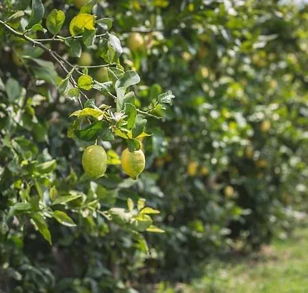 Dimora Bolsone Farm stay Gardone Riviera