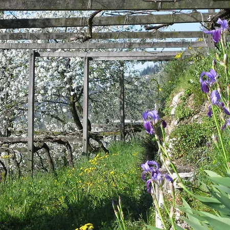 Dimora Bolsone Farm stay *